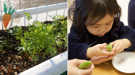 子ども参加型クッキング&栽培